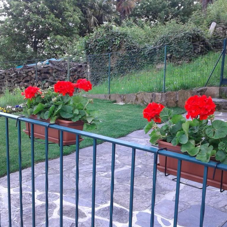 Vanni's House - Appartamento - 1