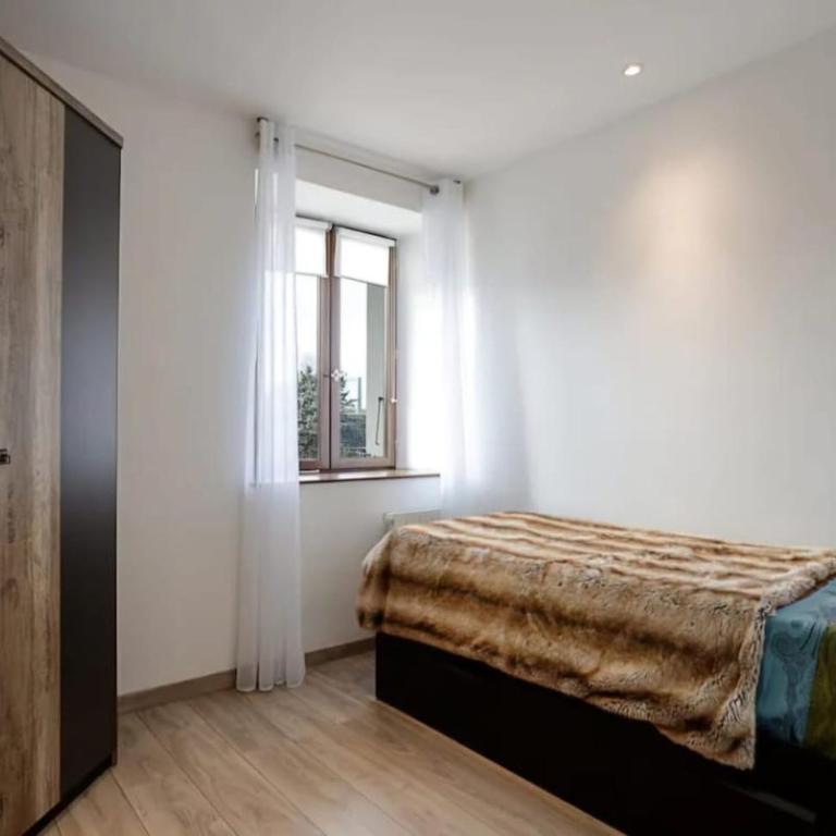 Entre lac-montagnes et frontière - Appartement 1 Chambre - 4