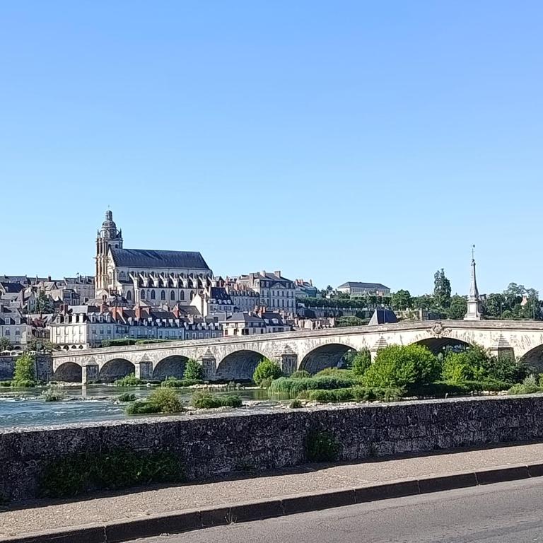Escale tranquille en bord de Loire, joli cocon rénové, bien situé, fauteuil massant - Appartement 1 Chambre - 5
