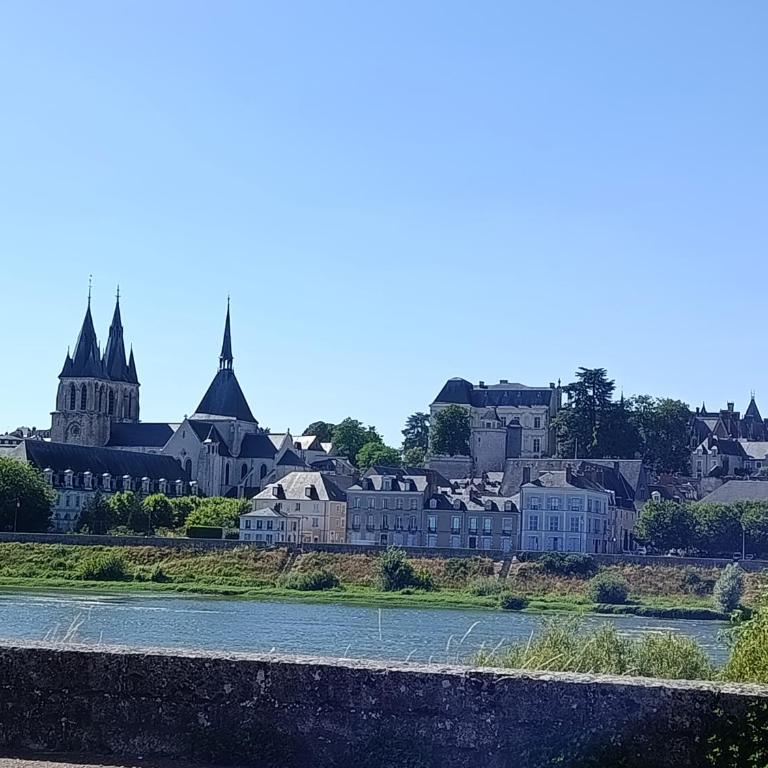 Escale tranquille en bord de Loire, joli cocon rénové, bien situé, fauteuil massant - Appartement 1 Chambre - 11