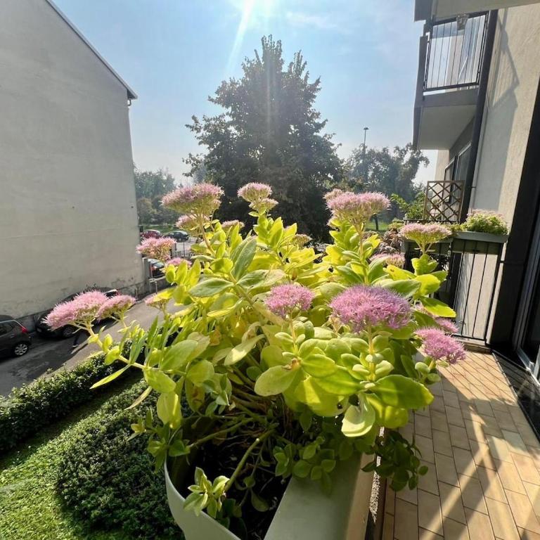 B&B Dream Milano Santa Giulia Free Wi-Fi M3 - Appartamento con 1 Camera da Letto - 4
