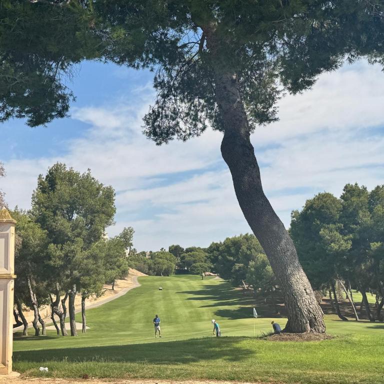 Private Solarium - Golf and Pool View - Las Ramblas 830 - Two-Bedroom Apartment - 10