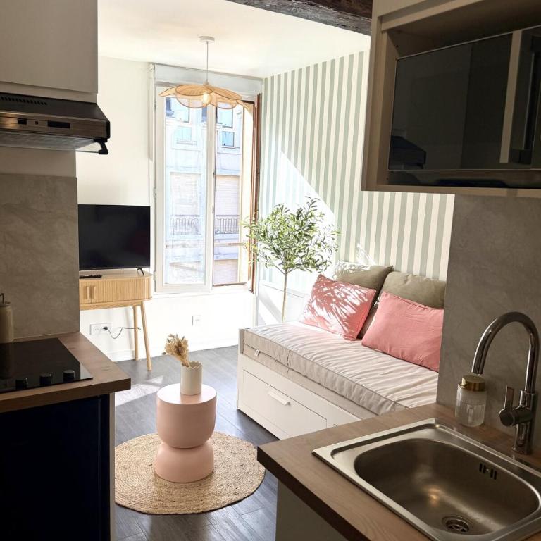 Le Nid des Lices - Centre ville - Appartamento con 1 Camera da Letto - 8