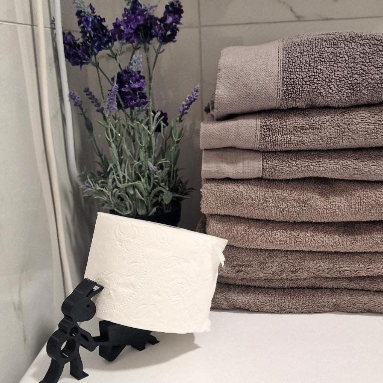 Kaltak Luxury Stay - Apartman sa 1 Spavaćom Sobom - 30