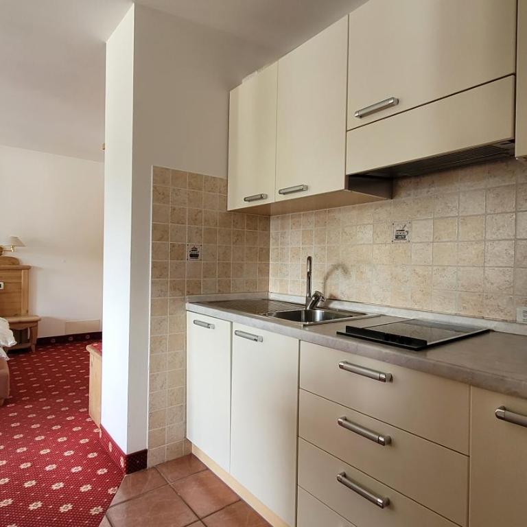Apartments Alpenroyal Arabba - Check-in at Garni Royal - Appartamento Monolocale - 3