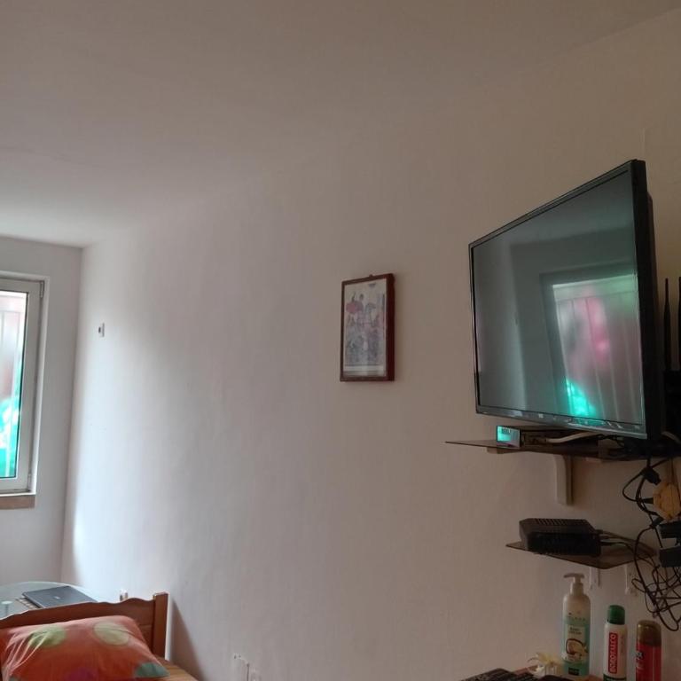 Apartman Aleksej - Apartman sa 1 Spavaćom Sobom - 2
