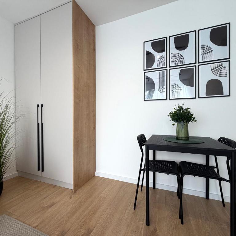 Sunny Nest Apartment Sarajevo - Apartman sa 1 Spavaćom Sobom - 10