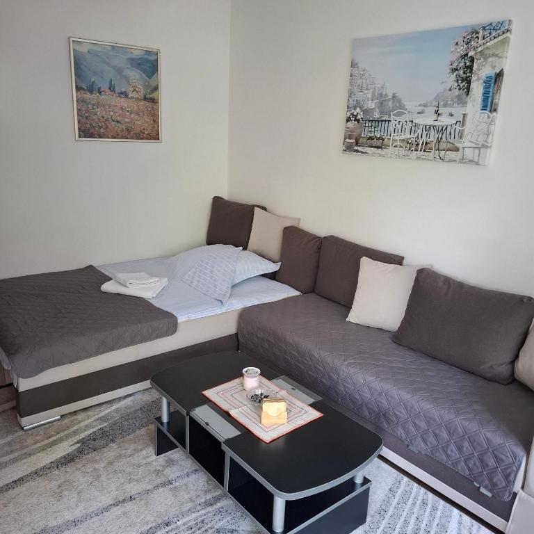 Apartman Pod Lipom - Apartman sa 1 Spavaćom Sobom - 11