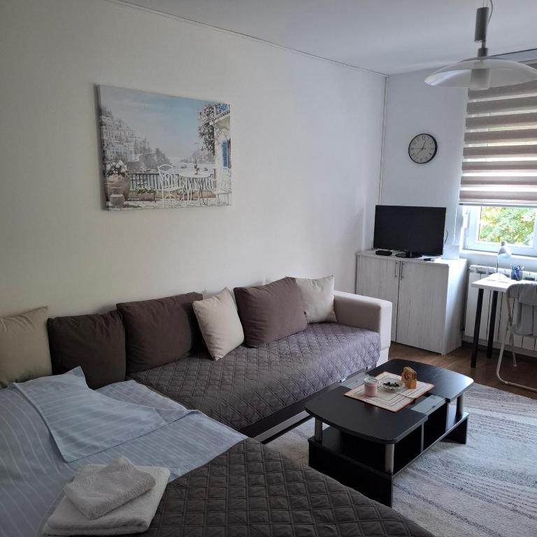 Apartman Pod Lipom - Apartman sa 1 Spavaćom Sobom - 12