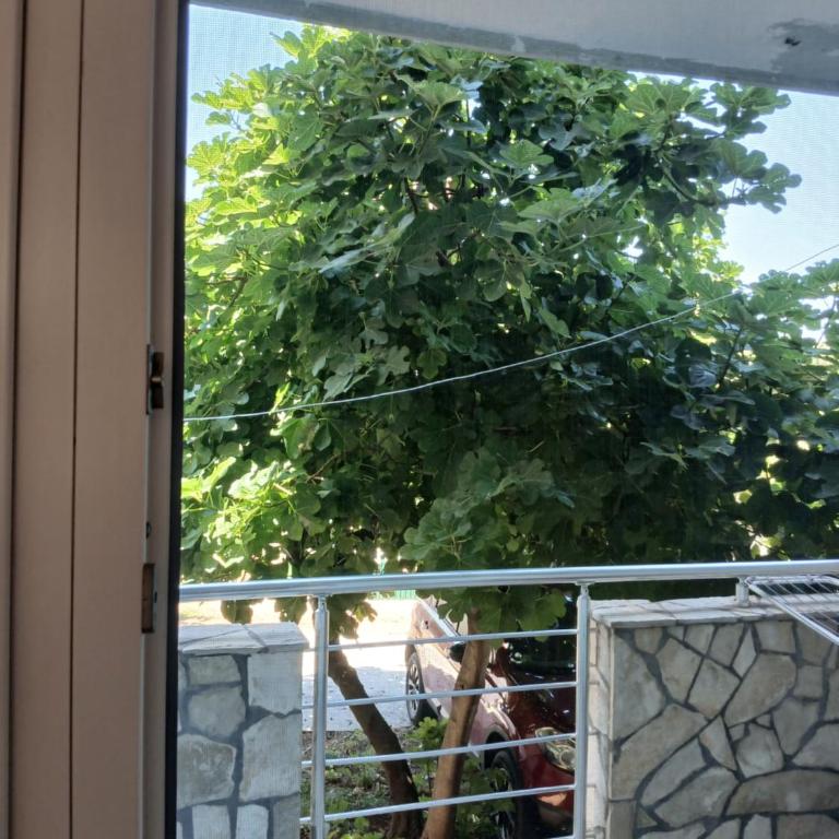 vila Rosmarin - Apartment mit Terrasse - 3