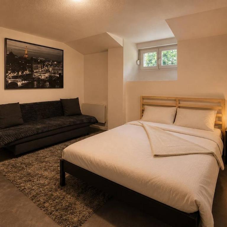 DeLuxe Studio, Parking Privé Free, Naturellement Frais, MULHOUSE CENTRE - One-Bedroom Apartment - 3