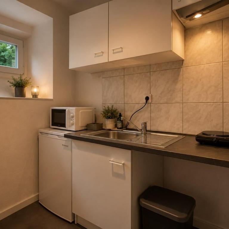 DeLuxe Studio, Parking Privé Free, Naturellement Frais, MULHOUSE CENTRE - One-Bedroom Apartment - 5