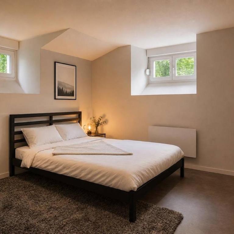 DeLuxe Studio, Parking Privé Free, Naturellement Frais, MULHOUSE CENTRE - One-Bedroom Apartment - 6