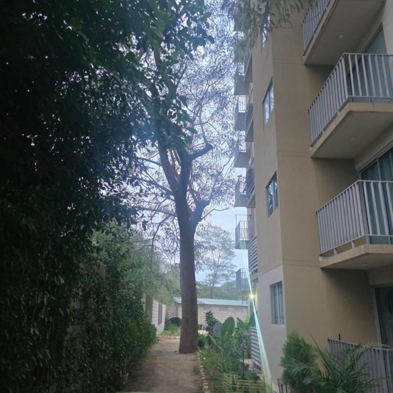 Apartamento Santa Marta - Two-Bedroom Apartment - 6