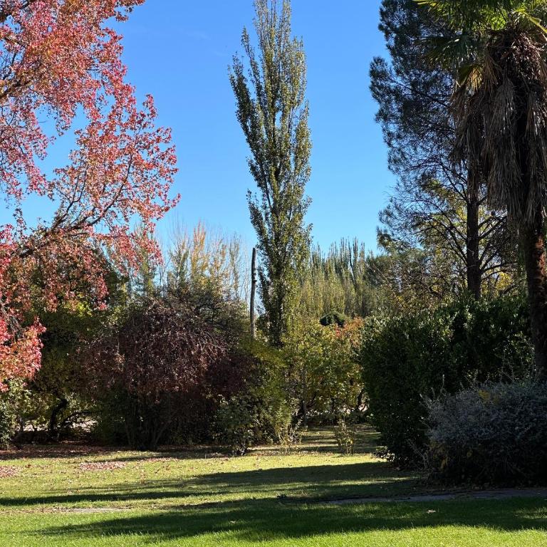 Chacra Los Cipreses - Casa completa con gran parque arbolado, 7 personas, entorno tranquilo - Vacation Home - 10