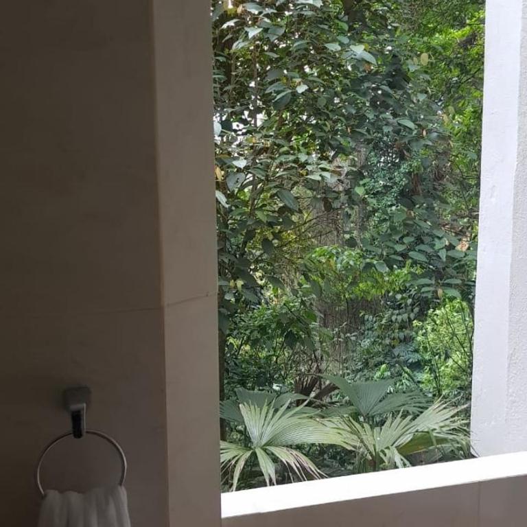 Luxury Nature Suite El Tesoro - One-Bedroom Apartment with View - 8