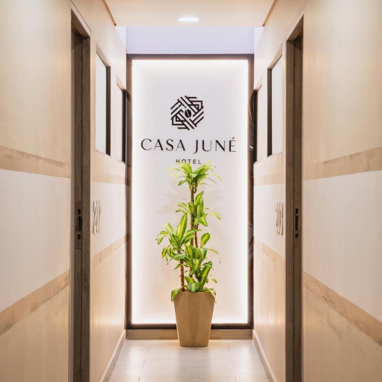 Casa Juné - Suite Estándar - 1