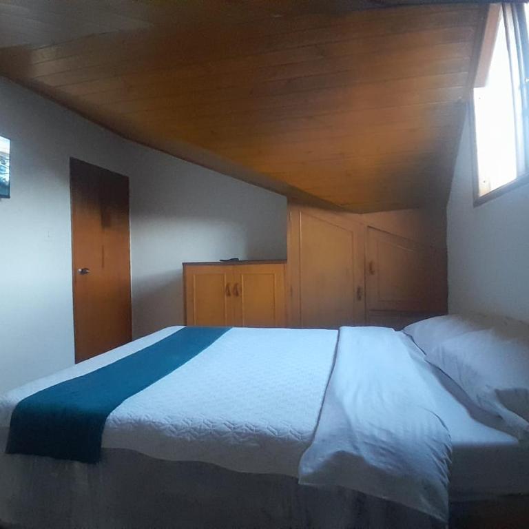 Alojamiento y Confort - Apartamento - 7