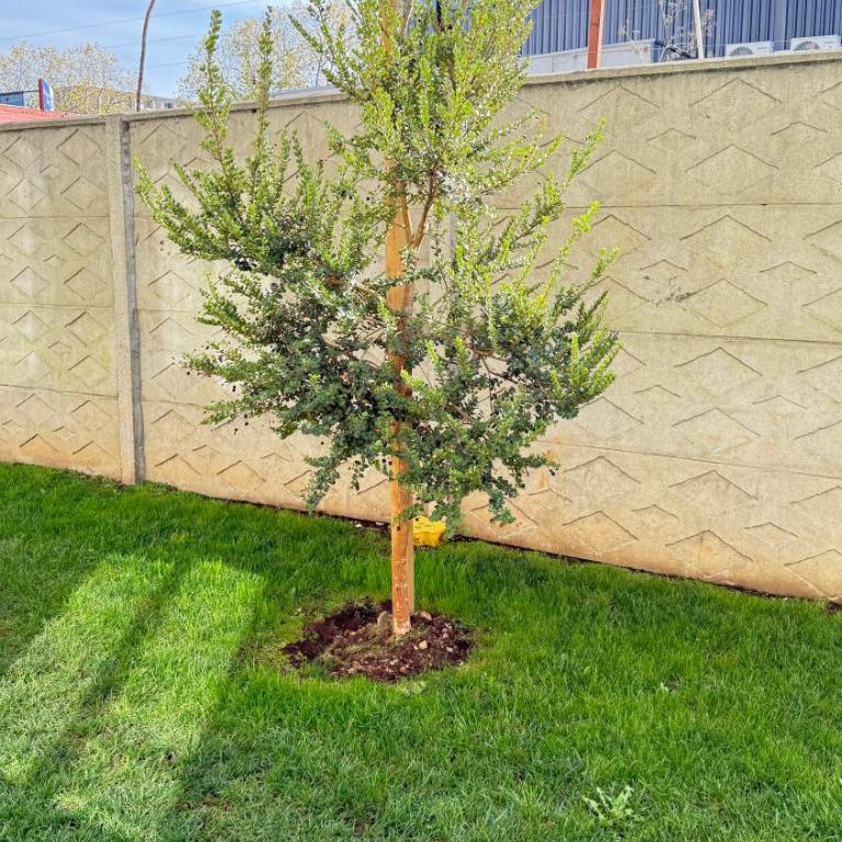 Temuco departamento con piscina - Three-Bedroom Apartment - 38