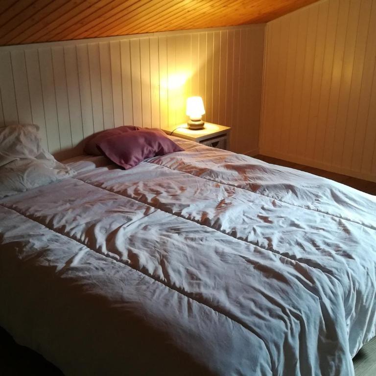 Chalet au centre, 12 pers. - FR-1-836-81 - Appartement - 9