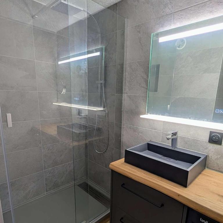 Appartement spacieux au PrÃ© du Bois - famille/groupe - FR-1-572-359 - Appartement - 5