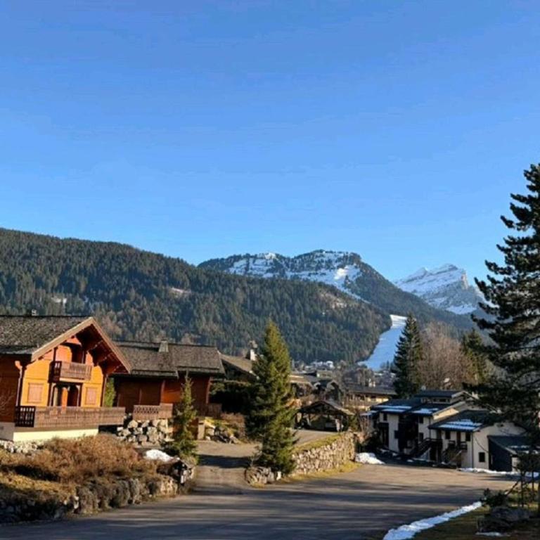 Appartement spacieux au PrÃ© du Bois - famille/groupe - FR-1-572-359 - Appartement - 8