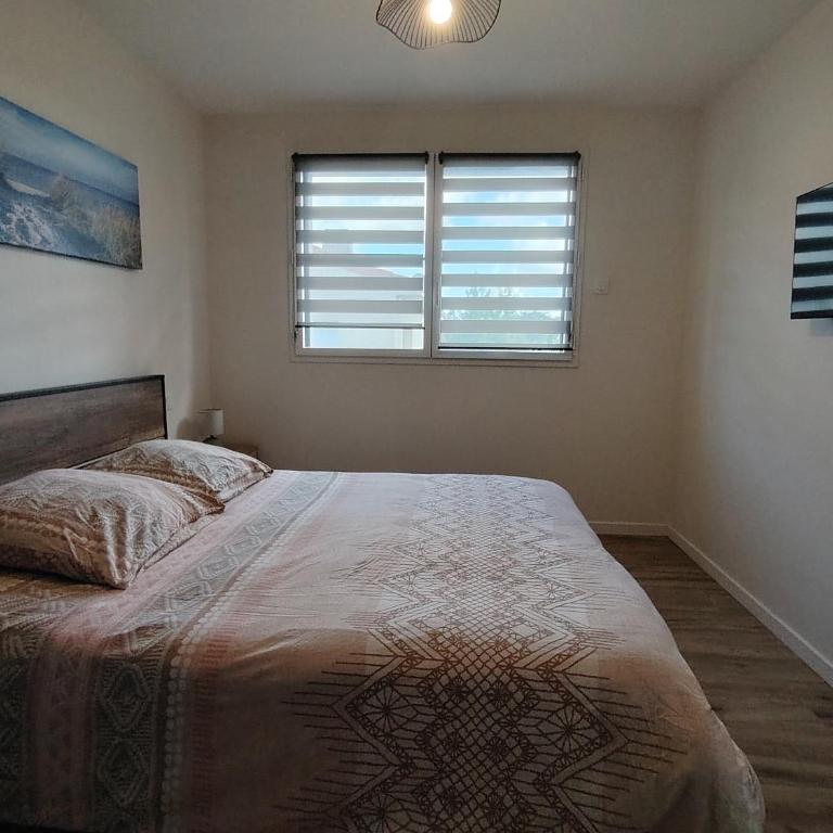 Spacieux logement 1 chambre et terrasse - Appartement - 13