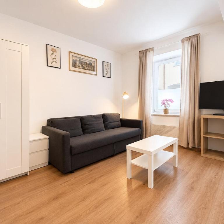 Altbau Apartment am Isartor - One-Bedroom Apartment - 10