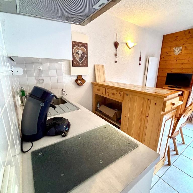 Cozy studio with mountain view - Appartement 1 Chambre - 2
