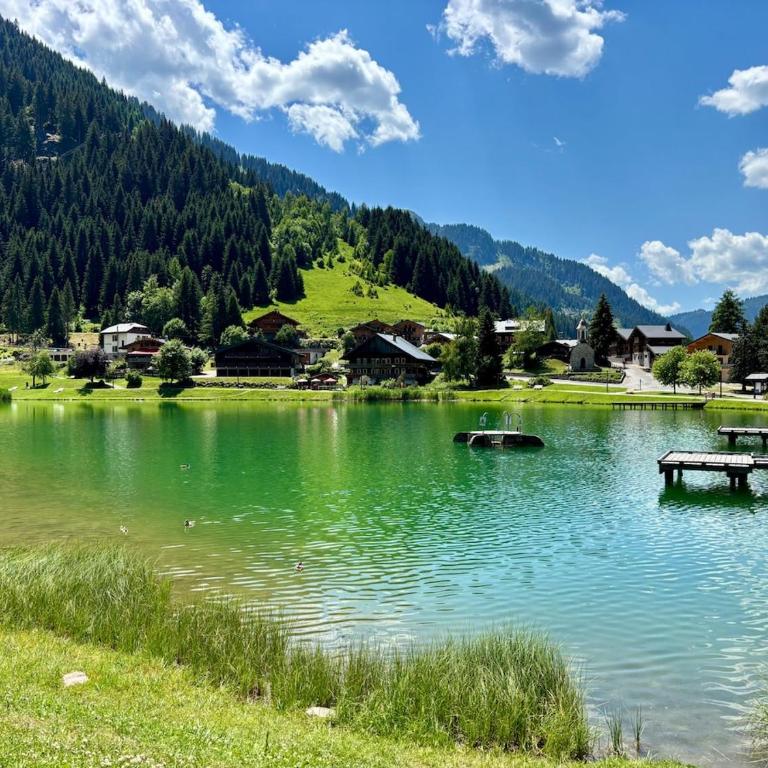 Cozy studio with mountain view - Appartement 1 Chambre - 10