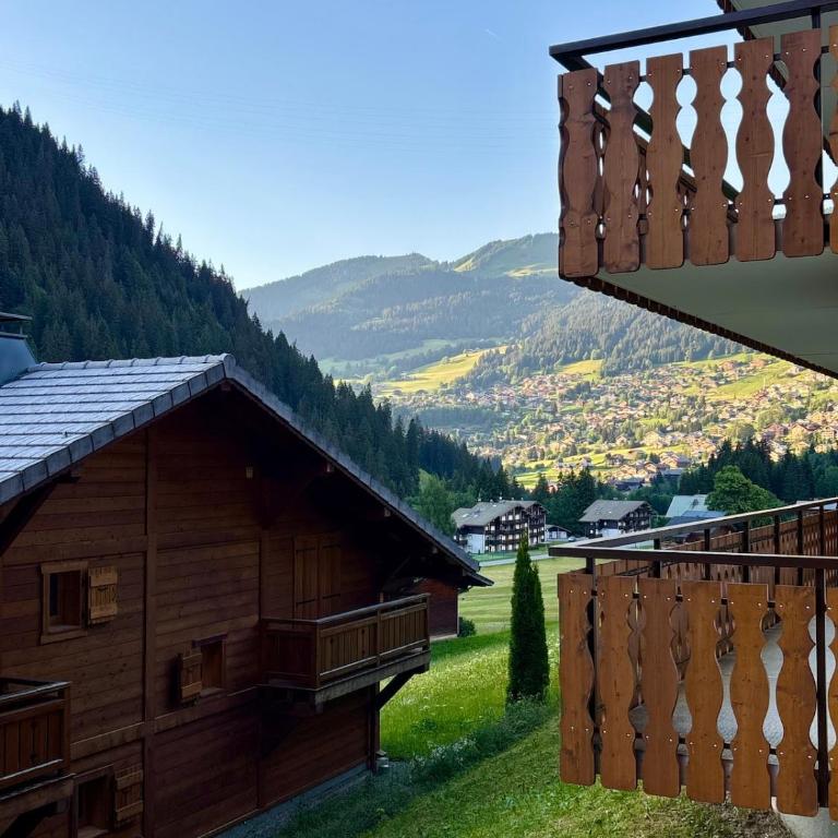 Cozy studio with mountain view - Appartement 1 Chambre - 11
