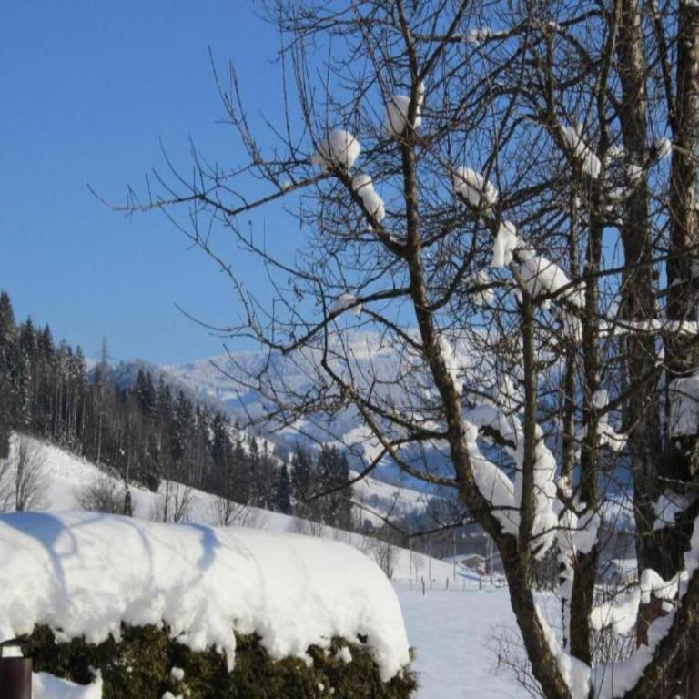 Apartment in Kleinarl near Ski-Area with Balcony & Parking - Apartment - 23