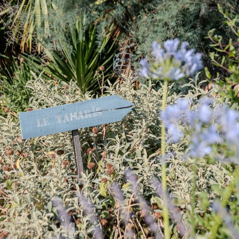 Tamaris Les Floralies en Provence - Haus mit 2 Schlafzimmern - 21