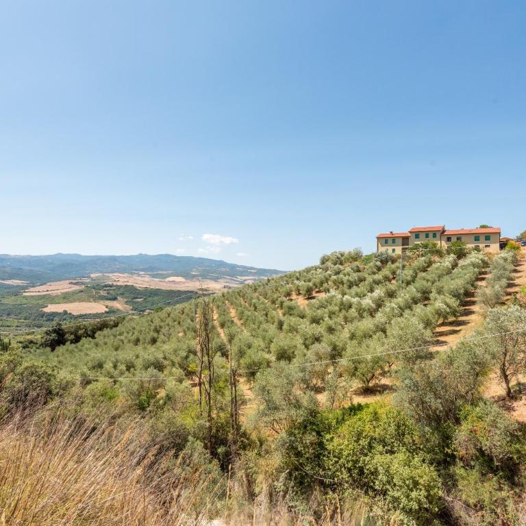 Casa Vacanza Sant'Antimo Montalcino - Appartamento con 1 Camera da Letto e Vista Giardino - 21