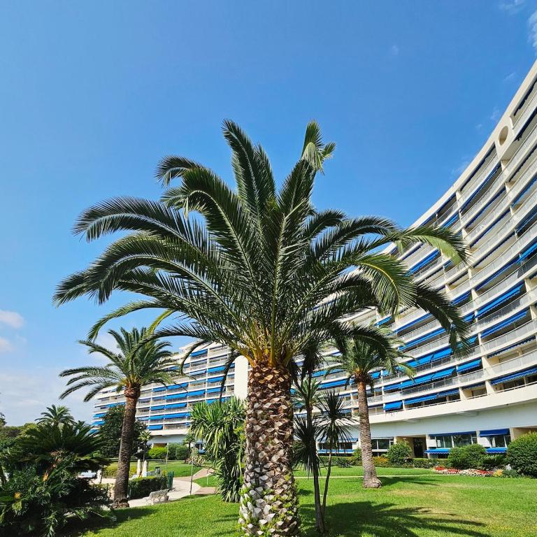 Marina Mandelieu - Stylish French Riviera Retreat - Studio - 36