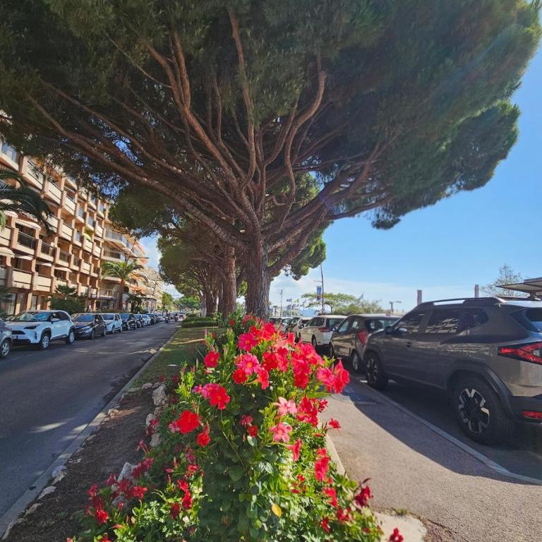 Marina Mandelieu - Stylish French Riviera Retreat - Studio - 52