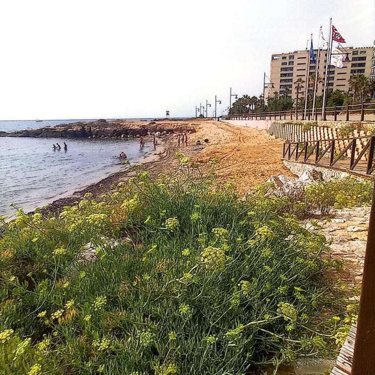 Sea Senses Paradise - Appartement 2 Chambres - 10