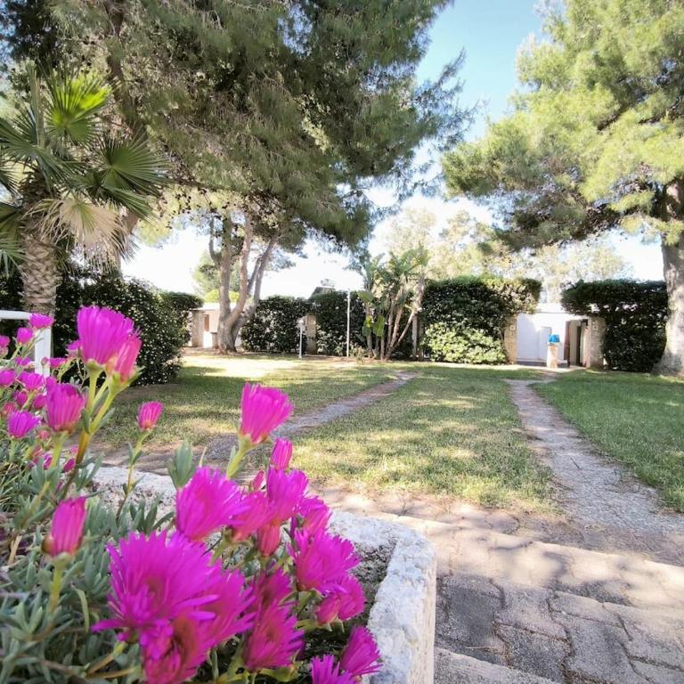 Le casette Punta Pizzo - Casa con 2 Camere da Letto - 11