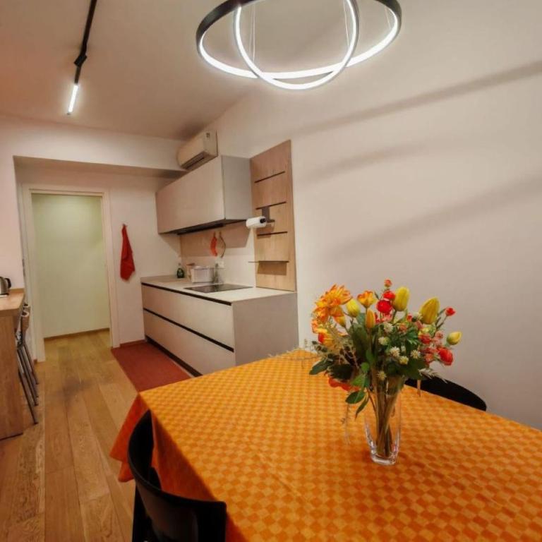 Merlino house central 10 minutes to Venice - Apartment - 32