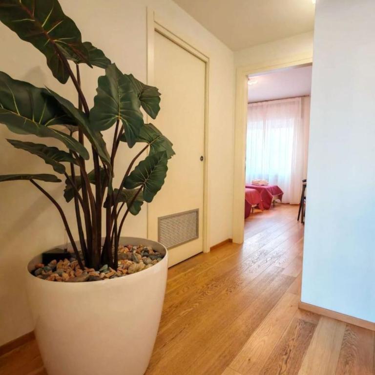 Merlino house central 10 minutes to Venice - Apartment - 39