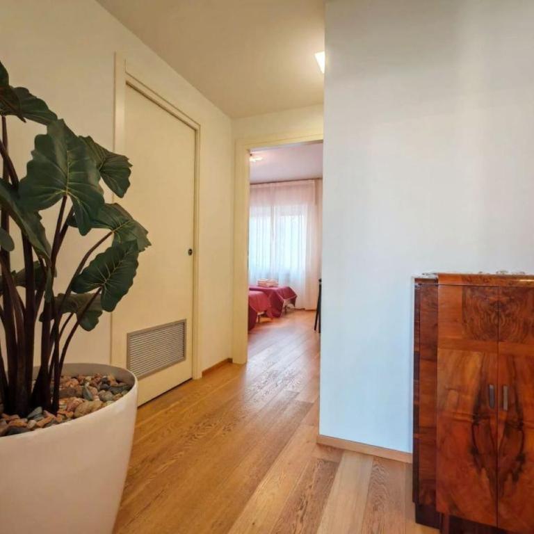 Merlino house central 10 minutes to Venice - Apartment - 20