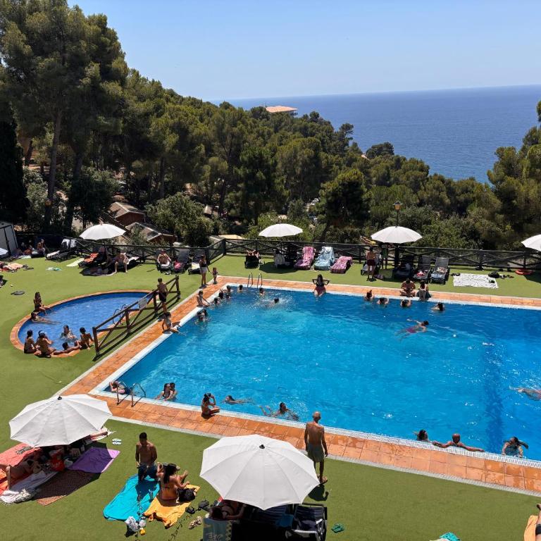 Luxus Appartement direkt am Meer mit 180 Grad Meerblick!! Cala Llevado! - Apartamento de 1 dormitorio - 13