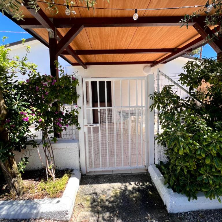 Quirino Residence - Appartamento - 24