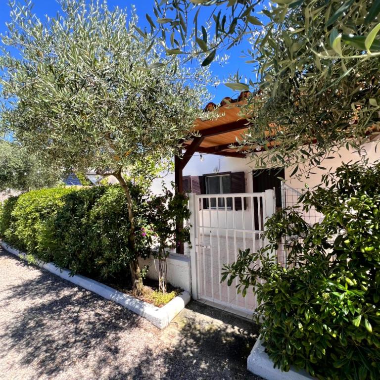 Quirino Residence - Appartamento - 25