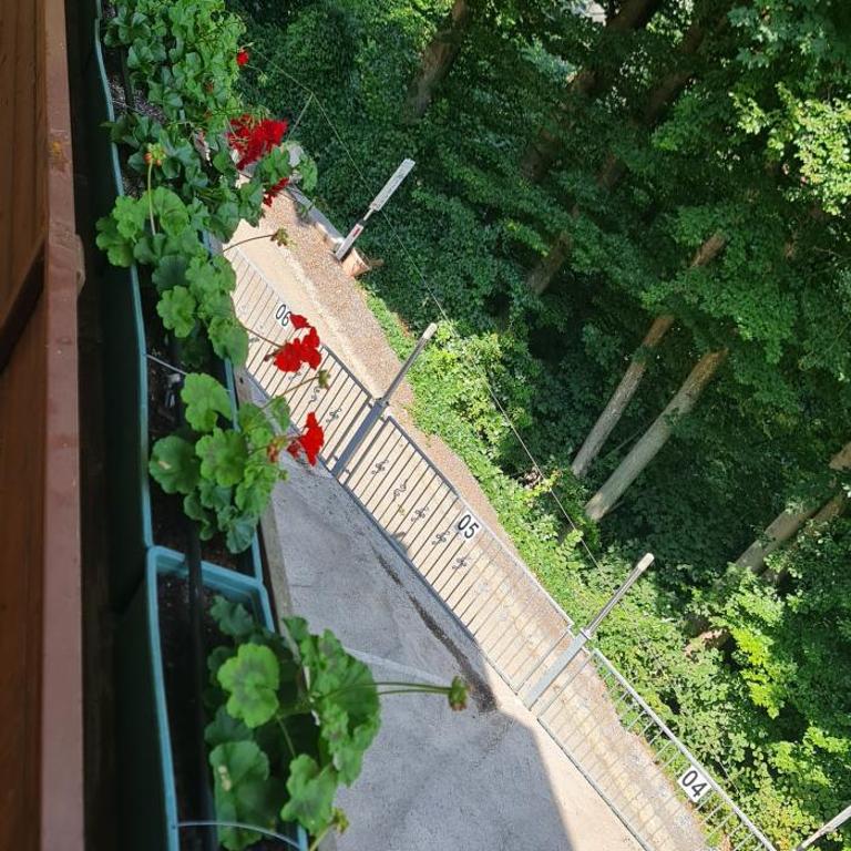 Appart-Pension Seehang - Doppel-/Zweibettzimmer mit Balkon - 1