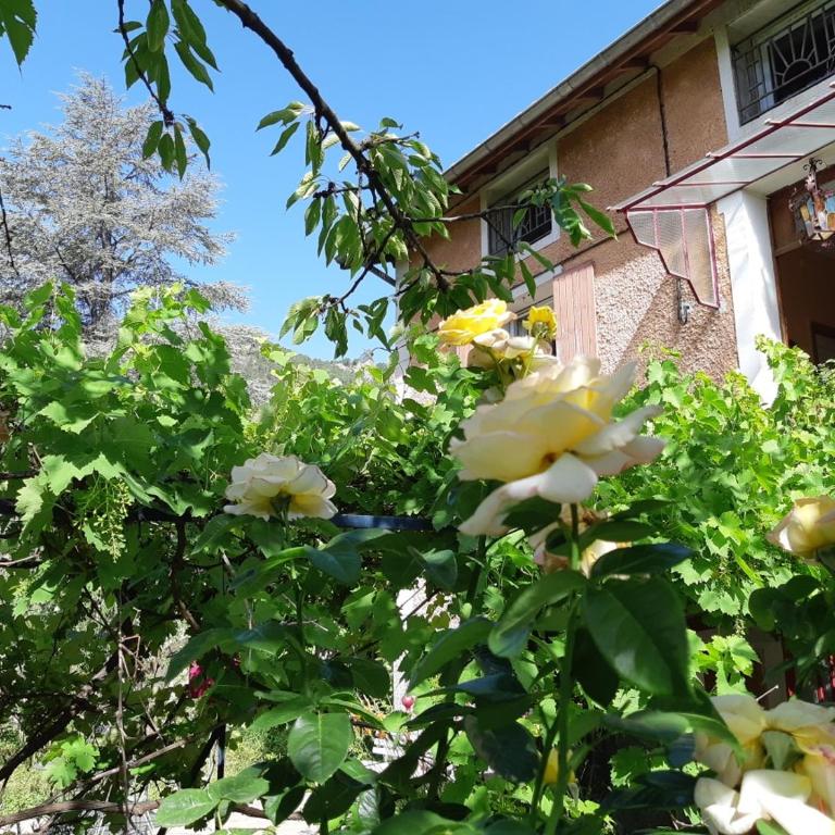 Beautiful apartment in Provençal residence with garden and WiFi - Appartement - Vue sur Jardin - 4