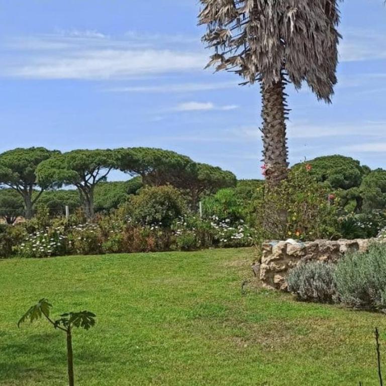 Villa de Autor entre el Golf y La Barrosa - Villa Deluxe - 22