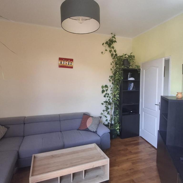 Appartement 42m proche parc Blandan et Rhône - Appartement - 1