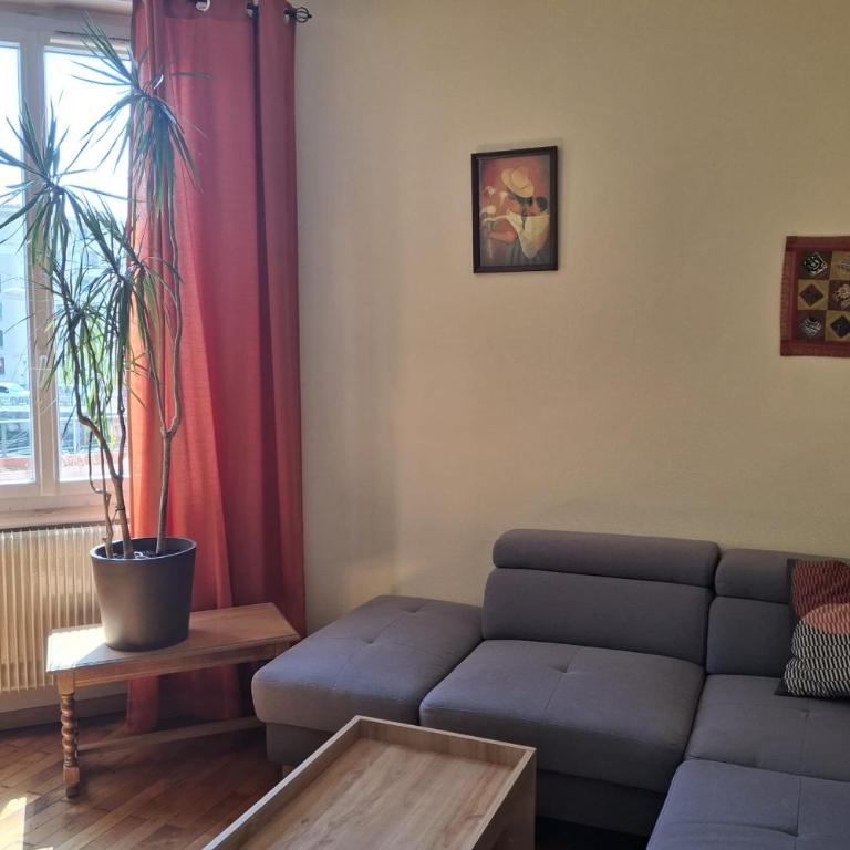 Appartement 42m proche parc Blandan et Rhône - Appartement - 2