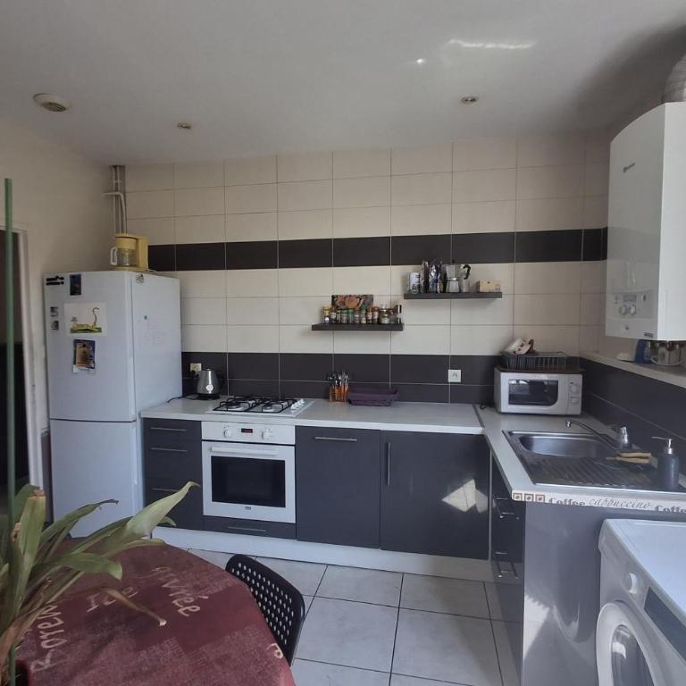 Appartement 42m proche parc Blandan et Rhône - Appartement - 3